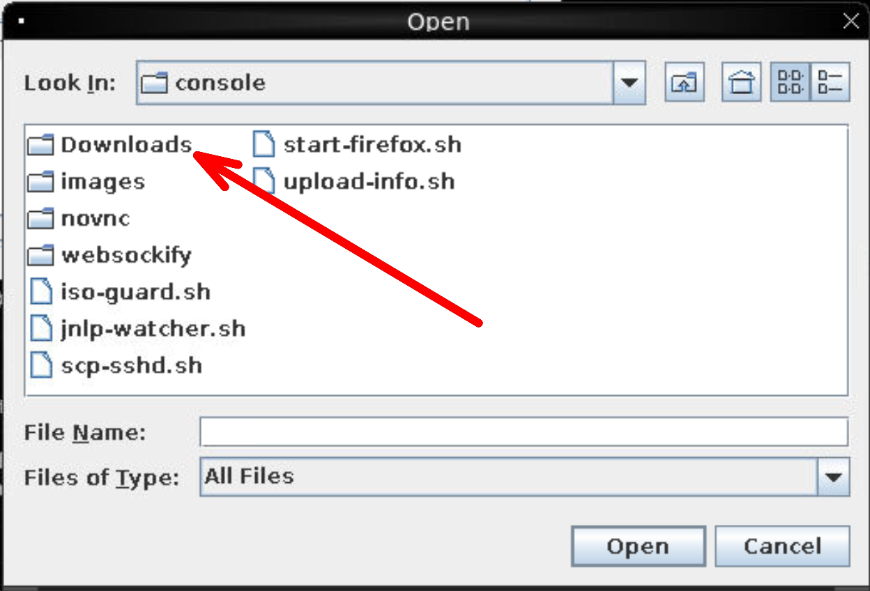 The console file picker, with the Downloads folder highlighted